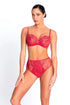 Lise Charmel H72 Source Beaute 3/4 Cup