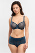 Empreinte Leia Lace High-Waisted Panty