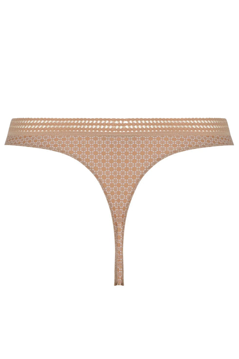 Antigel H55 Daily Paillette Thong