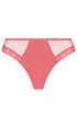 Antigel J71 Boyish Seduction Thong