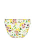 Antigel J48 Jardin Des Poetes Low Waist Brief