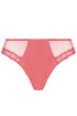 Antigel J71 Boyish Seduction Low Waist Brief