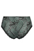 Antigel J44 Jungle Du Soir Boyshort