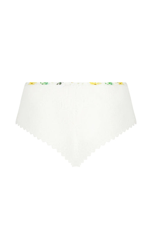 Antigel J48 Jardin Des Poetes Boyshort