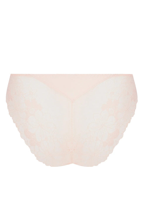 Antigel J62 Fleur Du Jour Italian Brief
