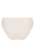 Antigel J62 Fleur Du Jour Italian Brief