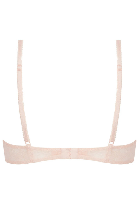 Antigel J62 Fleur Du Jour Full Cup