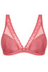 Antigel J71 Boyish Seduction 1/2 Pad Cup