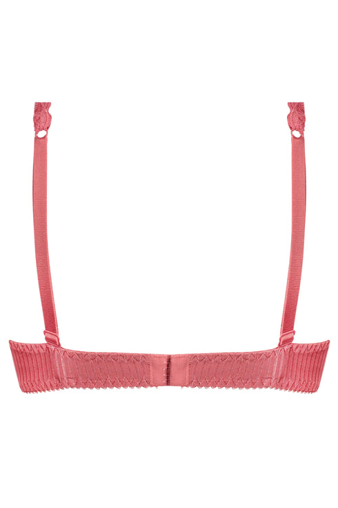 Antigel J71 Boyish Seduction 1/2 Pad Cup