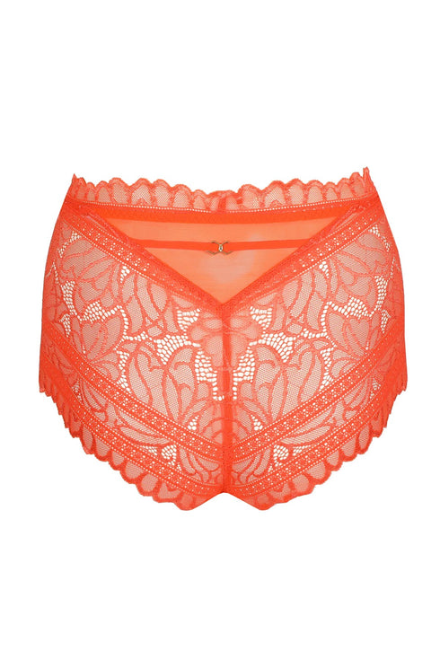 Marie Jo Cerina Special Briefs