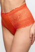 Marie Jo Cerina Special Briefs