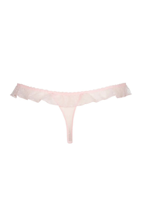 Marie Jo Noova Special Briefs