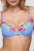 Marie Jo Odilly Push Up Bra Removable Pads