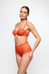 Marie Jo Cerina Special Briefs
