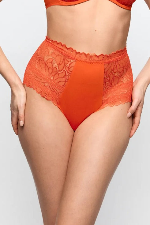 Marie Jo Cerina Special Briefs