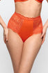 Marie Jo Cerina Special Briefs