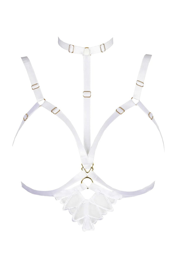 PrimaDonna Arthill Special Accessory