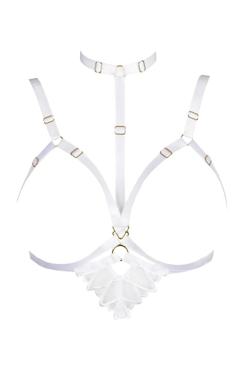 PrimaDonna Arthill Special Accessory