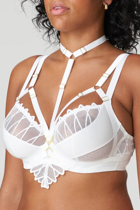 PrimaDonna Arthill Special Accessory