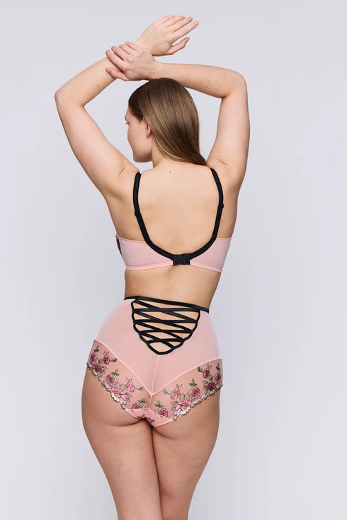 PrimaDonna Eraclea Special Briefs