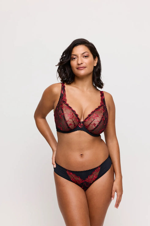 PrimaDonna Springdale Rio Briefs