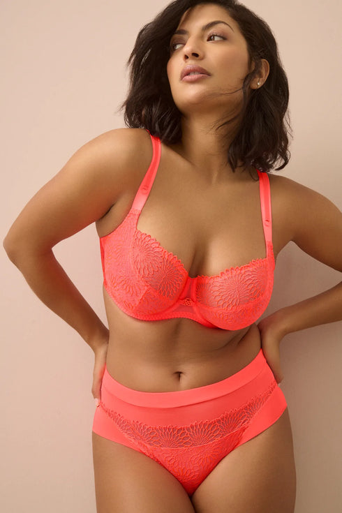 PrimaDonna Sophora Full Briefs