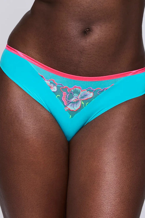 PrimaDonna Devdaha Rio Briefs