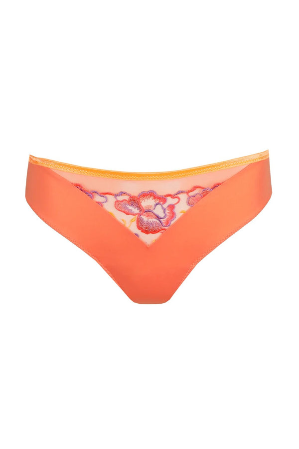 PrimaDonna Devdaha Rio Briefs