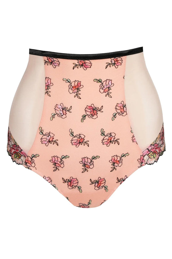 PrimaDonna Eraclea Special Briefs