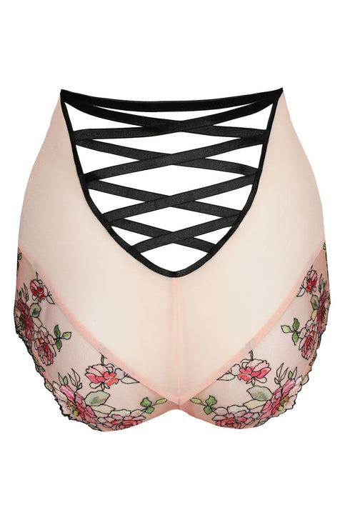 PrimaDonna Eraclea Special Briefs