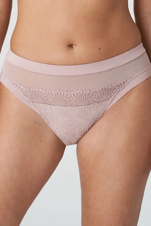 PrimaDonna Sophora Rio Briefs