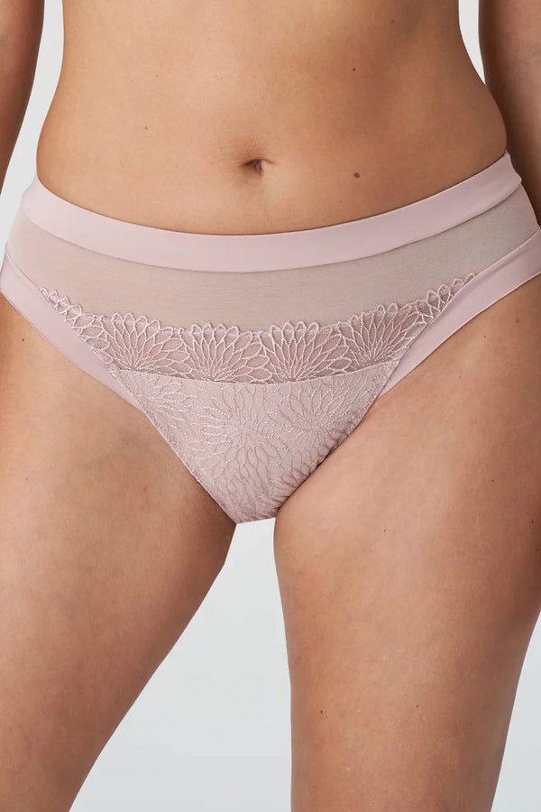 PrimaDonna Sophora Rio Briefs