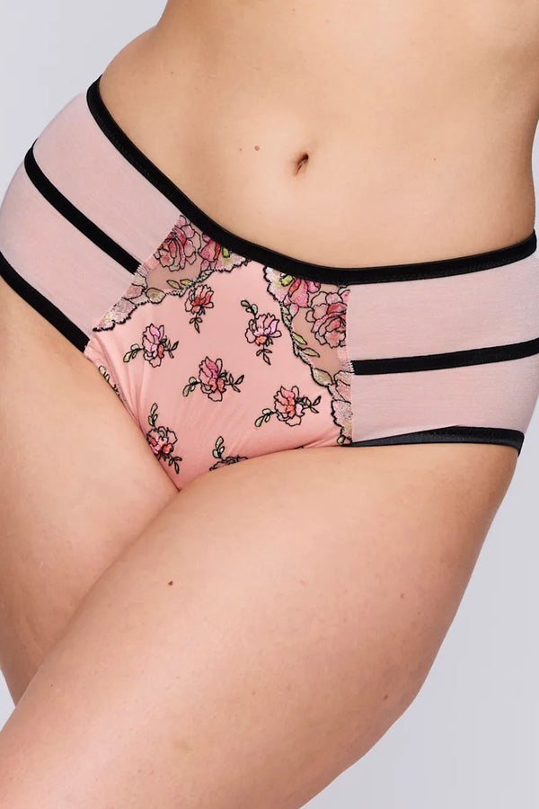 PrimaDonna Eraclea Full Briefs