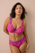 PrimaDonna Devdaha Half Padded Plunge Bra