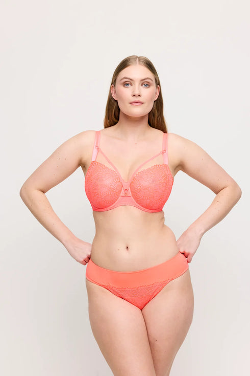 PrimaDonna Sophora Rio Briefs