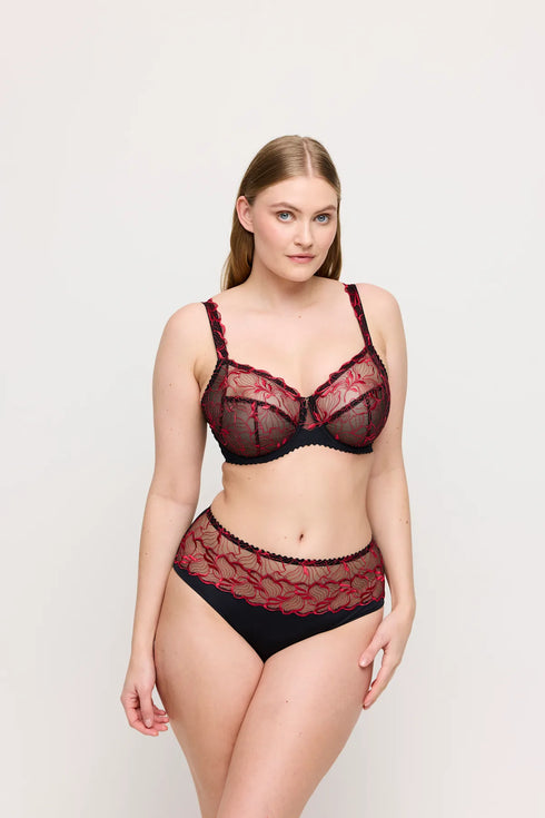 PrimaDonna Springdale Full Briefs