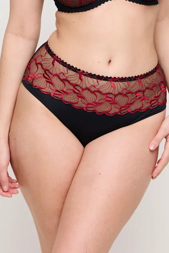 PrimaDonna Springdale Full Briefs