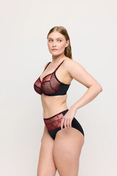 PrimaDonna Springdale Full Briefs