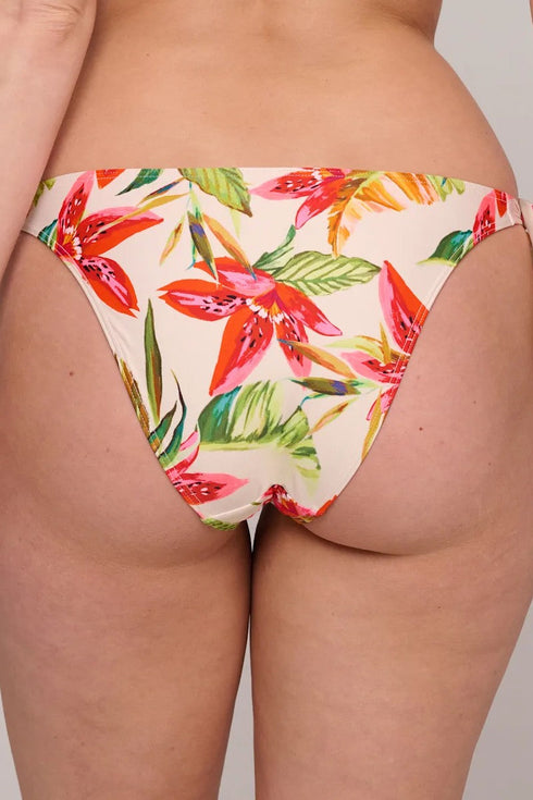 PrimaDonna Tanzania Bikini Briefs Brazilian