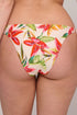 PrimaDonna Tanzania Bikini Briefs Brazilian