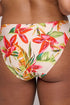 PrimaDonna Tanzania Bikini Briefs Rio