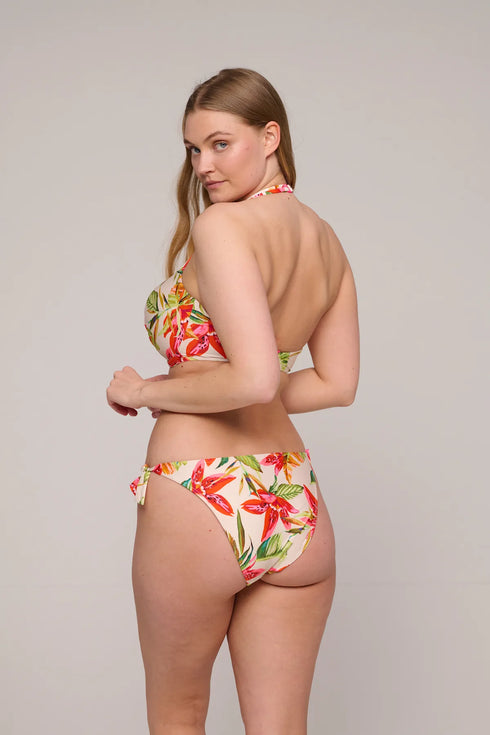 PrimaDonna Tanzania Bikini Briefs Brazilian