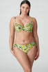 PrimaDonna Jaguarau Bikini Briefs Rio