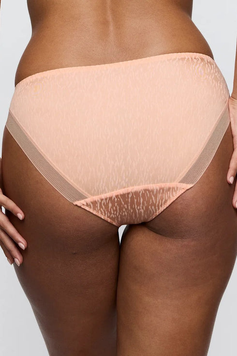 PrimaDonna Twist Dalli Rio Briefs