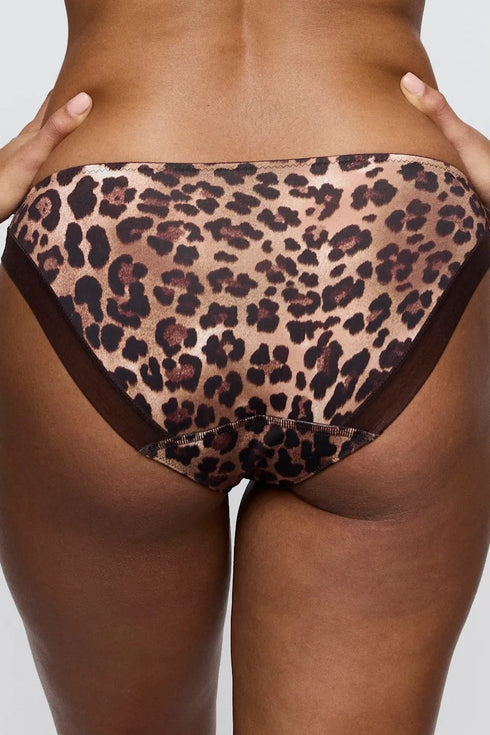 PrimaDonna Twist Giganni Rio Briefs