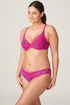 PrimaDonna Twist Lenox Hill Rio Briefs