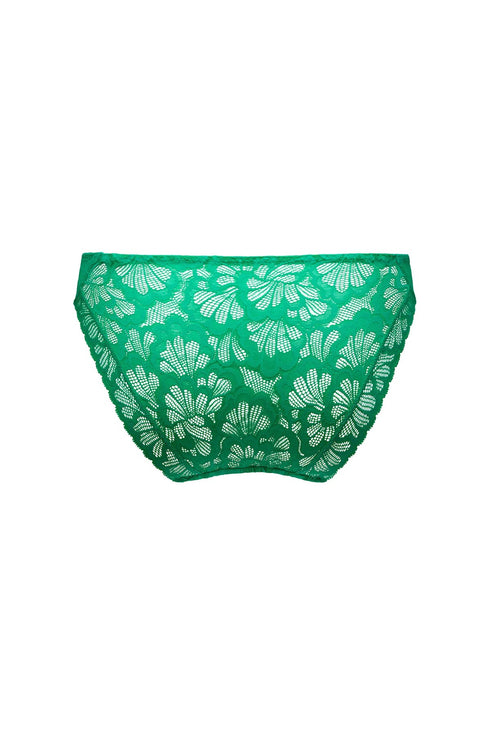 PrimaDonna Twist Mocuto Rio Briefs