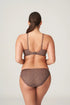 PrimaDonna Twist Penn Station Rio Briefs