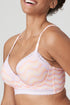 PrimaDonna Twist Goleta Padded Plunge Bra Longline