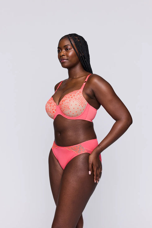 PrimaDonna Twist Angelou Rio Briefs